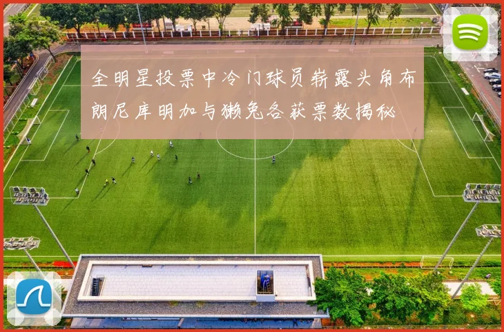 全明星投票中冷门球员崭露头角布朗尼库明加与獭兔各获票数揭秘