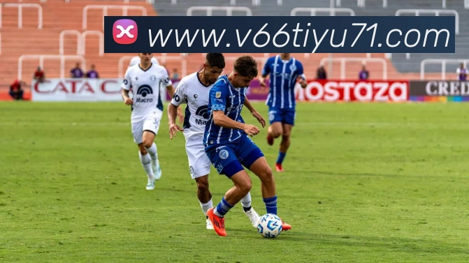 V66体育平台生态图