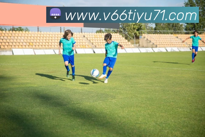 V66体育APP 封面图